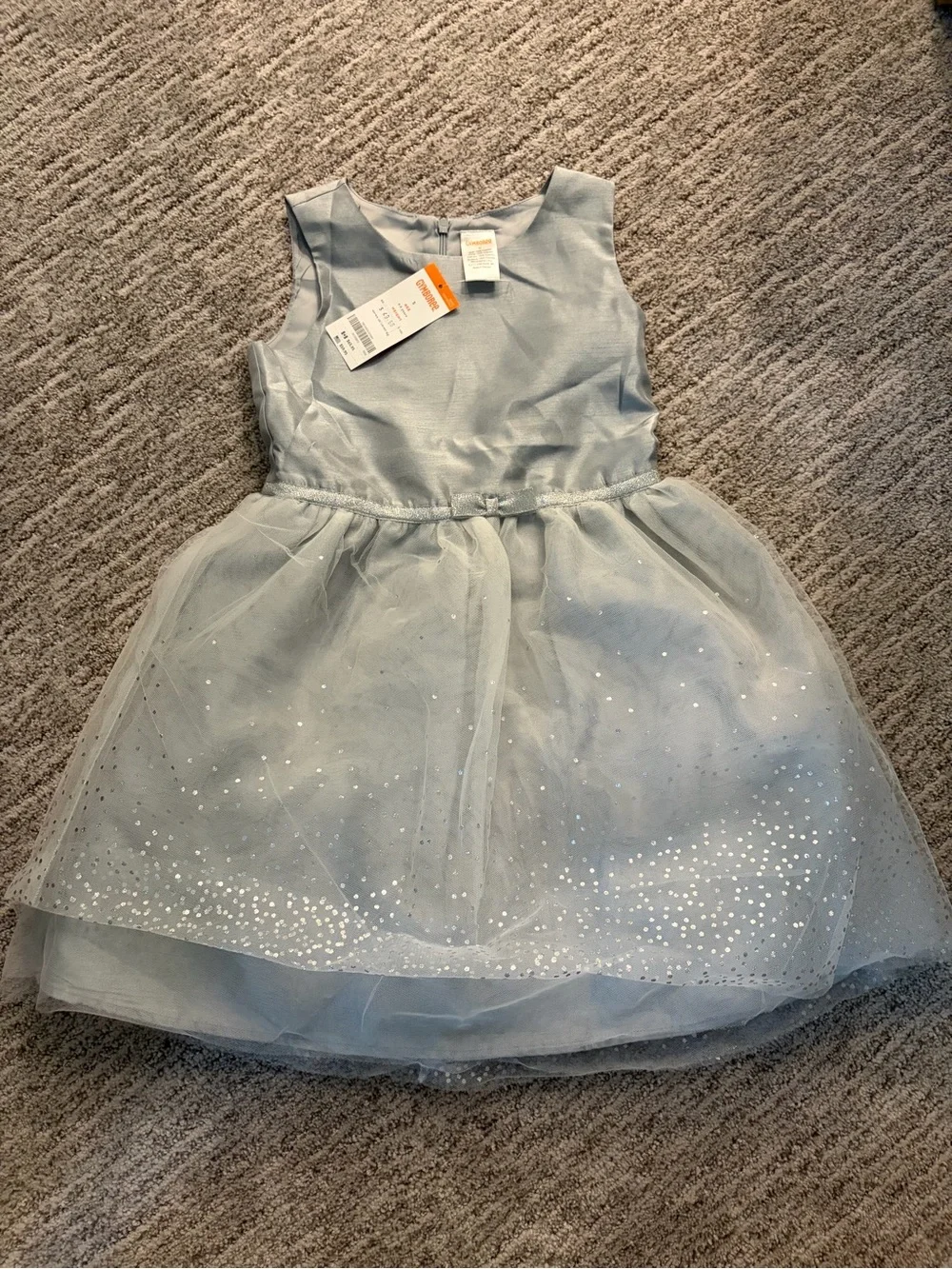 Gymboree Silver Tulle Dress